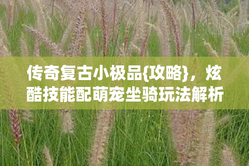 传奇复古小极品{攻略}，炫酷技能配萌宠坐骑玩法解析