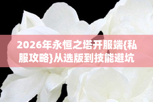 2026年永恒之塔开服端图片