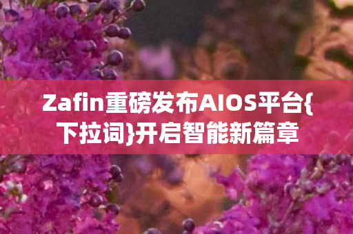 Zafin重磅发布AIOS平台图片