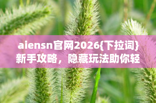 aiensn官网2026图片