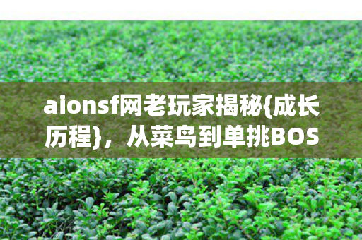 aionsf网老玩家揭秘图片