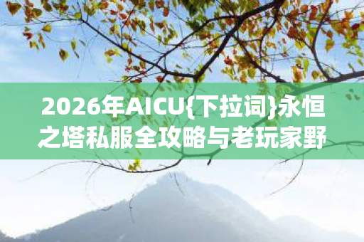 永恒之塔私服全攻略与老玩家野路子图片