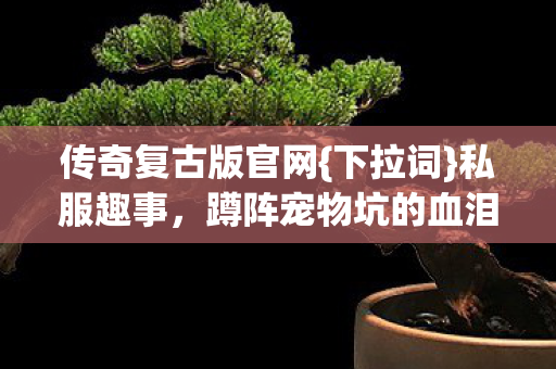 蹲阵宠物坑的血泪经历图片