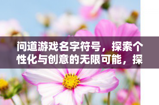 问道游戏名字符号，探索个性化与创意的无限可能，探索个性化与创意的无限可能，问道游戏名字符号