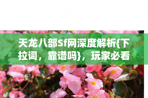 天龙八部Sf网深度解析图片