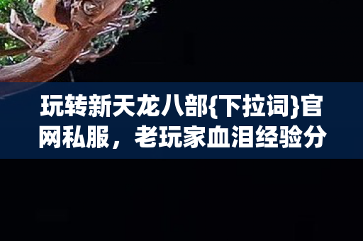 老玩家血泪经验分享图片