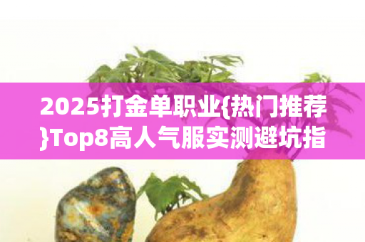 2025打金单职业{热门推荐}Top8高人气服实测避坑指南 2025打金单职业{热门推荐}Top8高人气服实测避坑指南