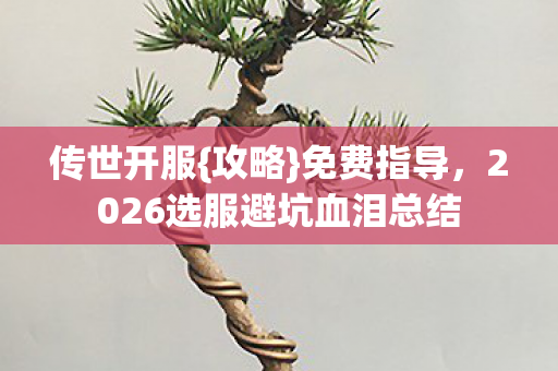 2026选服避坑血泪总结图片