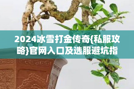 2024冰雪打金传奇{私服攻略}官网入口及选服避坑指南