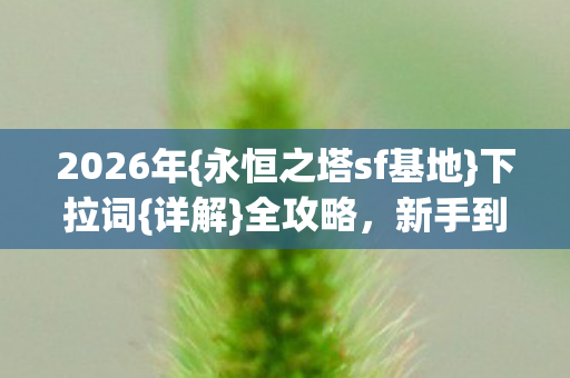 永恒之塔sf基地图片