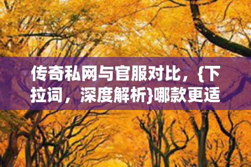 传奇私网与官服对比，{下拉词，深度解析}哪款更适合你
