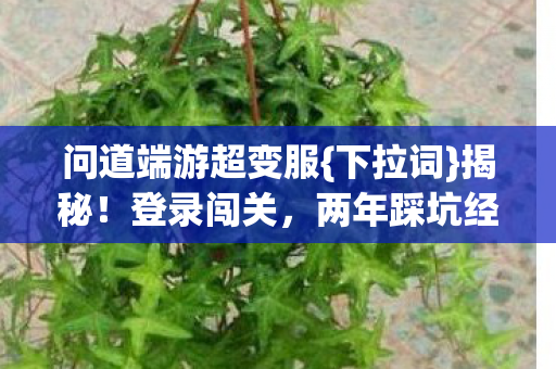 问道端游超变服图片