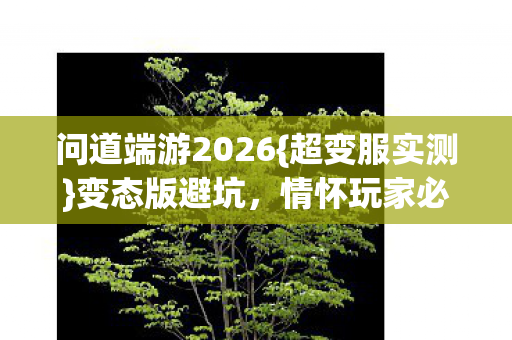 问道端游2026图片
