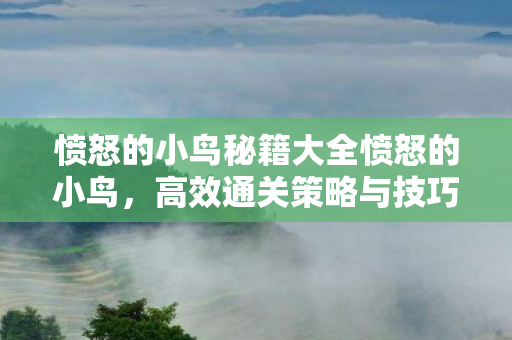 愤怒的小鸟秘籍大全愤怒的小鸟，高效通关策略与技巧，愤怒的小鸟，高效通关策略与技巧秘籍