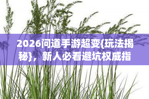 2026问道手游超变图片