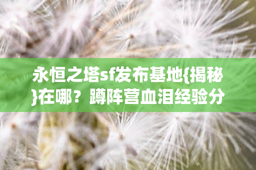 永恒之塔sf发布基地图片