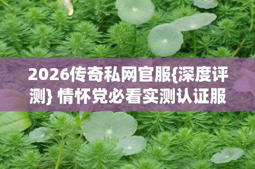 2026传奇私网官服{深度评测} 情怀党必看实测认证服选择