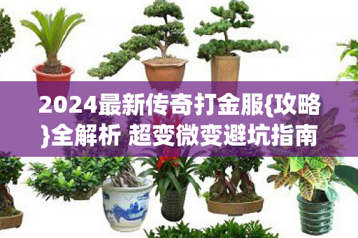 2024最新传奇打金服{攻略}全解析 超变微变避坑指南