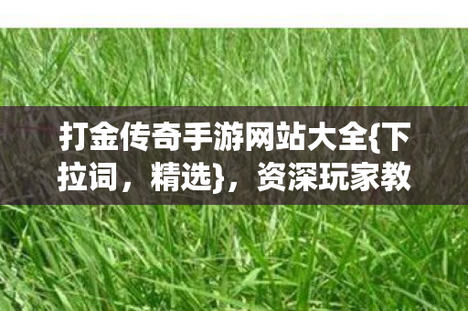 打金传奇手游网站大全{下拉词，精选}，资深玩家教你挑靠谱服