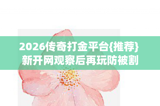 2026传奇打金平台{推荐} 新开网观察后再玩防被割 2026传奇打金平台{推荐} 新开网观察后再玩防被割