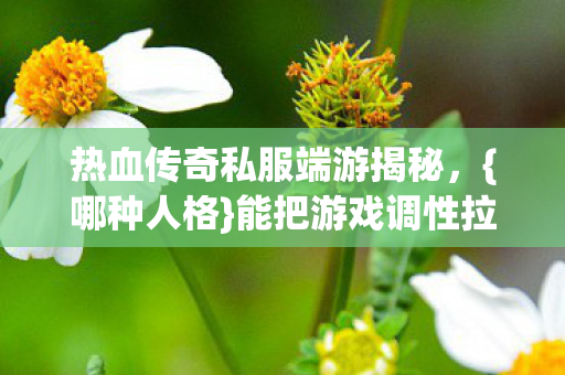 热血传奇私服端游揭秘图片
