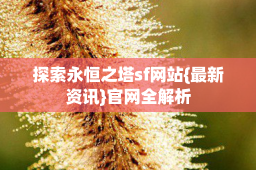探索永恒之塔sf网站图片