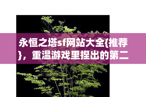 重温游戏里捏出的第二人生图片