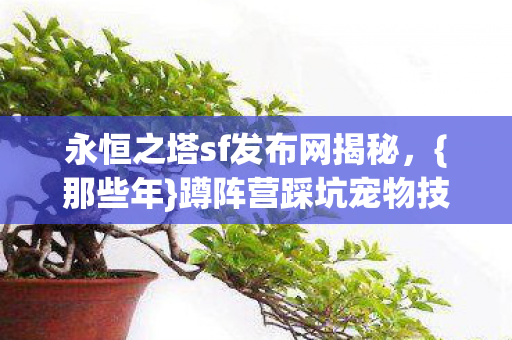 永恒之塔sf发布网揭秘图片