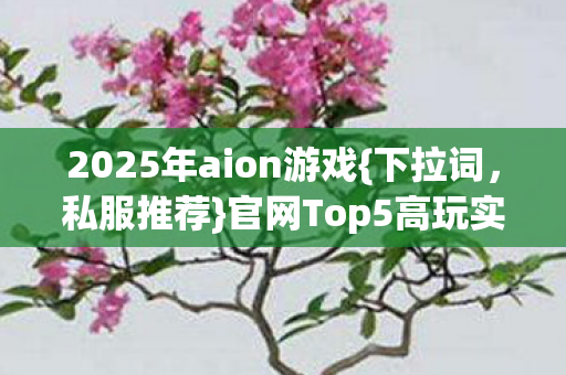 官网Top5高玩实测避雷图片