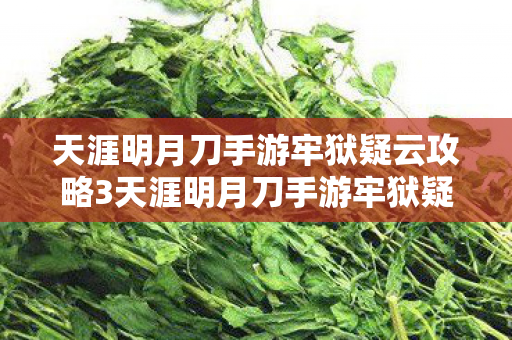 天涯明月刀手游牢狱疑云攻略3天涯明月刀手游牢狱疑云攻略,天涯明月刀手游牢狱疑云全攻略 天涯明月刀手游牢狱疑云攻略3天涯明月刀手游牢狱疑云攻略,天涯明月刀手游牢狱疑云全攻略