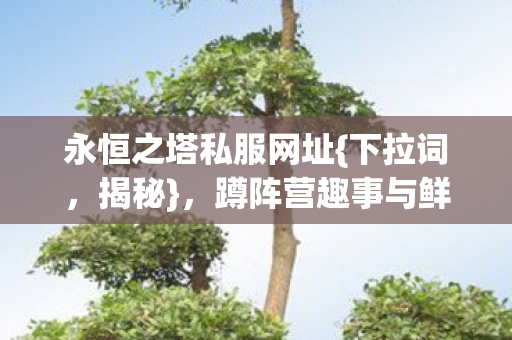 蹲阵营趣事与鲜活人格设定图片