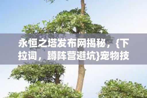 永恒之塔发布网揭秘图片