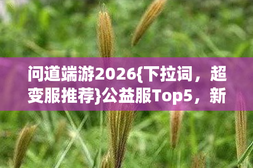 问道端游2026图片
