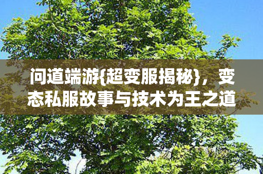 变态私服故事与技术为王之道图片