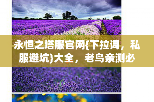 永恒之塔服官网图片