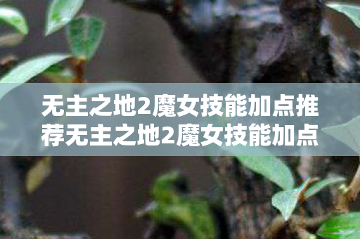 无主之地2魔女技能加点推荐无主之地2魔女技能加点指南，无主之地2魔女技能加点全解析