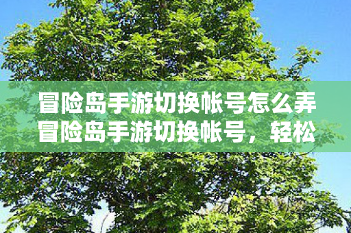 冒险岛手游切换帐号怎么弄冒险岛手游切换帐号,轻松实现账号切换,畅游多账号体验,冒险岛手游,轻松实现账号切换,畅游多账号体验 冒险岛手游切换帐号怎么弄冒险岛手游切换帐号,轻松实现账号切换,畅游多账号体验,冒险岛手游,轻松实现账号切换,畅游多账号体验