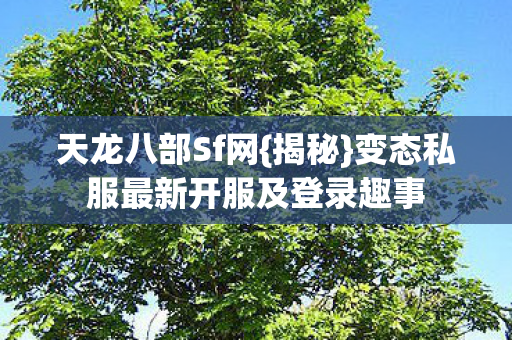 变态私服最新开服及登录趣事图片