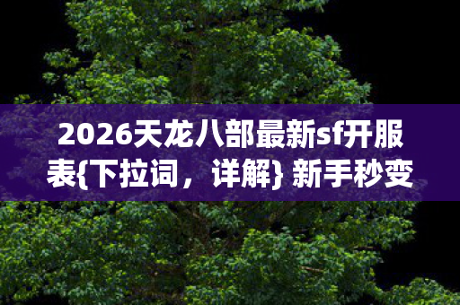 2026天龙八部最新sf开服表图片
