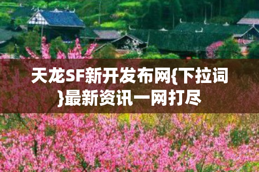 天龙SF新开发布网图片