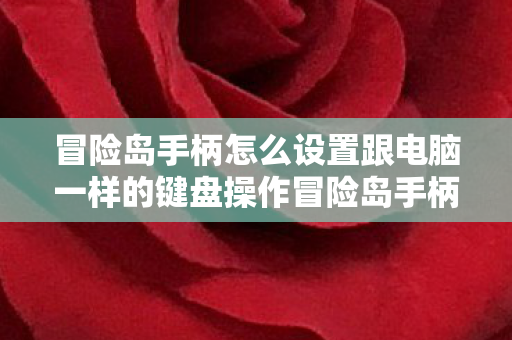 冒险岛手柄怎么设置跟电脑一样的键盘操作冒险岛手柄设置与电脑键盘的映射技巧,冒险岛手柄与电脑键盘的映射设置技巧 冒险岛手柄怎么设置跟电脑一样的键盘操作冒险岛手柄设置与电脑键盘的映射技巧,冒险岛手柄与电脑键盘的映射设置技巧