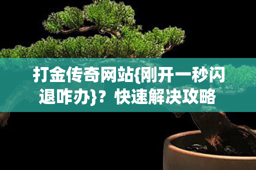 打金传奇网站{刚开一秒闪退咋办}?快速解决攻略 打金传奇网站{刚开一秒闪退咋办}?快速解决攻略