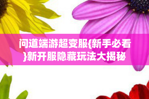 新开服隐藏玩法大揭秘图片