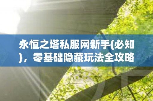零基础隐藏玩法全攻略图片