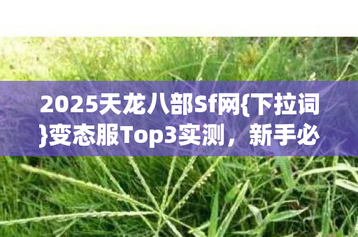 2025天龙八部Sf网{下拉词}变态服Top3实测,新手必看避坑 2025天龙八部Sf网{下拉词}变态服Top3实测,新手必看避坑