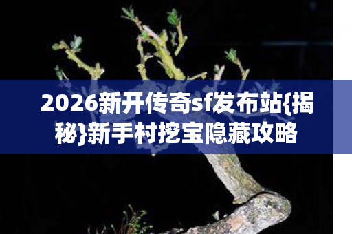 2026新开传奇sf发布站{揭秘}新手村挖宝隐藏攻略 2026新开传奇sf发布站{揭秘}新手村挖宝隐藏攻略