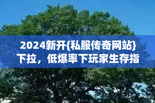 2024新开{私服传奇网站}下拉,低爆率下玩家生存指南 2024新开{私服传奇网站}下拉,低爆率下玩家生存指南