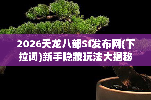 2026天龙八部Sf发布网图片