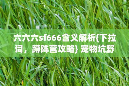 六六六sf666含义解析{下拉词,蹲阵营攻略} 宠物坑野路子 六六六sf666含义解析{下拉词,蹲阵营攻略} 宠物坑野路子