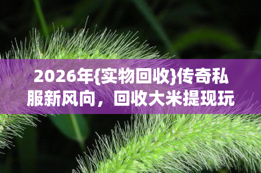 2026年{实物回收}传奇私服新风向，回收大米提现玩法指南